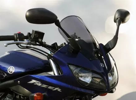 Ветровое стекло для FZS1000 Fazer (RN06/RN14) 2001-2005 Racing R, цвет Серый