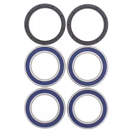 Комплект подшипников задней ступицы колеса All Balls 25-1565 для мотоциклов