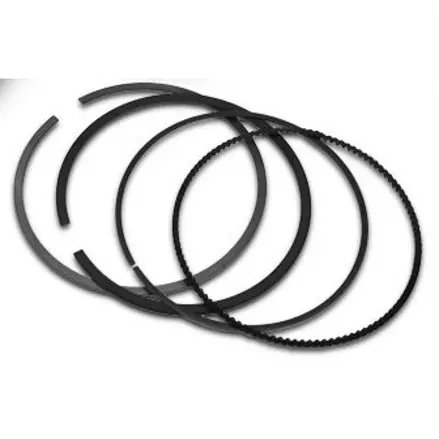 Поршневые кольца Polaris RZR 900 2204509
