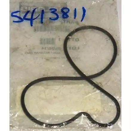 Прокладка водяного насоса Polaris RZR 1000/900 2011+ 5413811