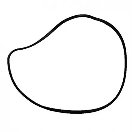 Уплотнительное кольцо крышки статора Polaris RZR, Ranger 5413826, 5413972