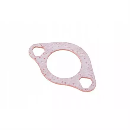 Прокладка натяжителя цепи ГРМ Polaris Sportsman 850 5813135