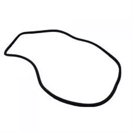 Прокладка крышки фильтра Polaris RZR 1000 /RZR Turbo 5813929