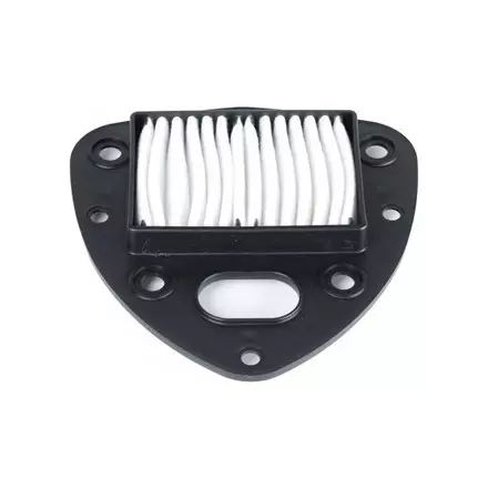 Воздушный фильтр  для BOULEVARD C50/M50 05-12, VL800 13-17 Suzuki 13780-39G20