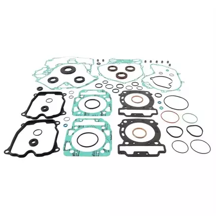 Complete Gasket Kit with Oil Seals