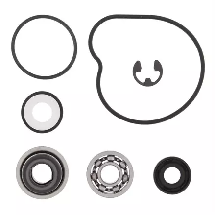 WATER PUMP REBUILD KIT