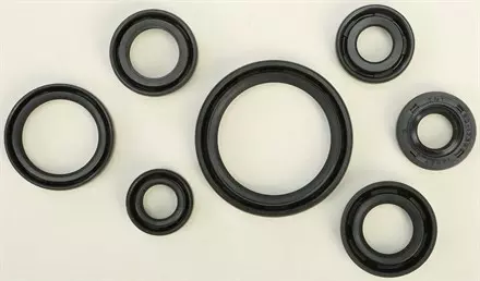 Комплект сальников  двигателя 822193