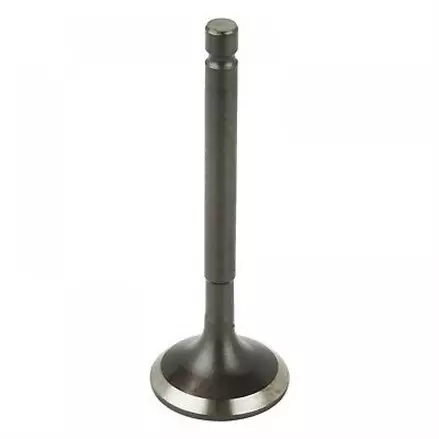 Клапан впускной Yamaha Grizzly 125, Raptor 125, Breeze 125  1JP-E2111-00-00, 5VL-E2111-00-00, 50M-12111-00-00, 5AP-12111-01-00