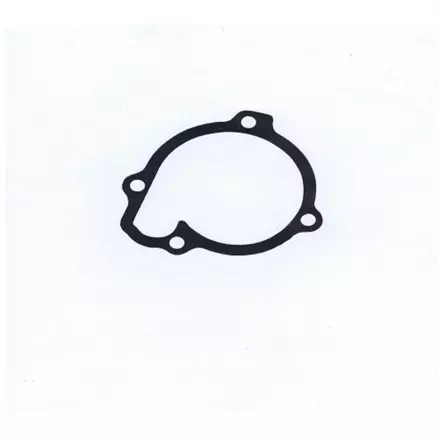 Прокладка водяного насоса Yamaha Grizzly 700, Kodiak 700, Wolverine 700 2016+ 2MB-E2428-00-00