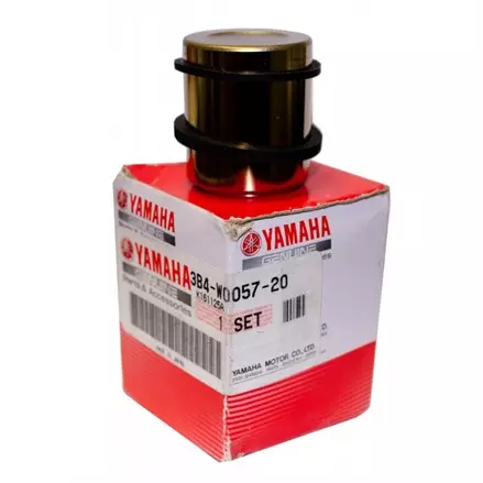 Поршень заднего суппорта Yamaha Grizzly 700 09+,  Grizzly 550 09-14 3B4-W0057-20-00