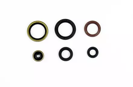 Комплект сальников Athena P400270400077