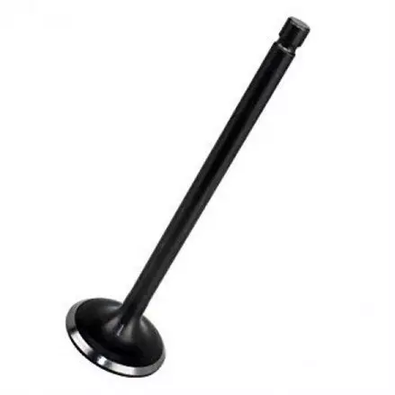 Клапан впускной Yamaha Grizzly, Raptor, Rhino 660 01-08 3YF-12111-00-00, 5KM-12111-00-00