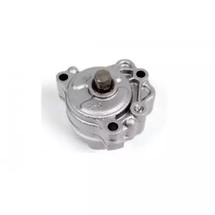 Оригинальный масляный насос в сборе Yamaha Raptor 700, 660 2001+ 5LP-13300-00-00
