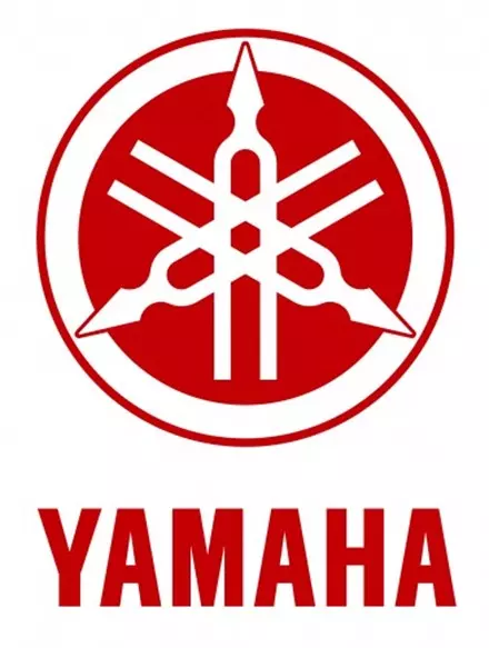 Сальник Yamaha 93112-31011-00
