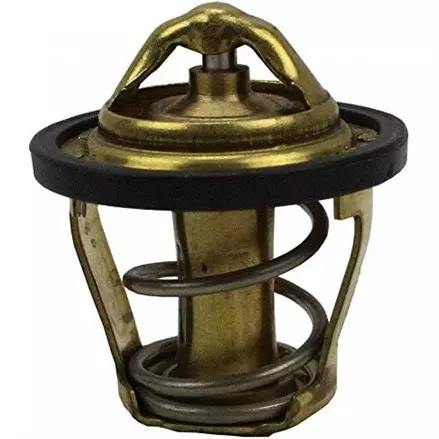 Термостат Can-Am Quest, Traxter, DS 450 99-15 711222495, 420222495