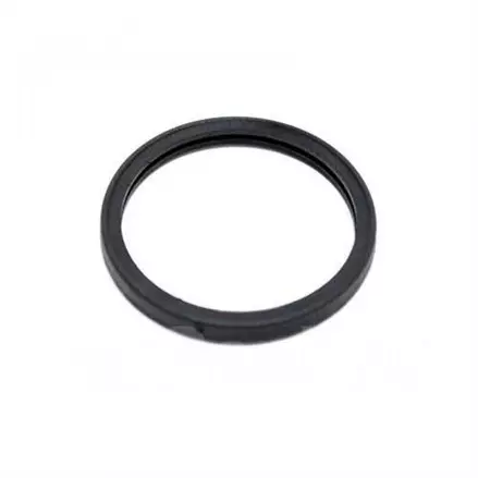 Прокладка термостата BRP 711650300, 420650300