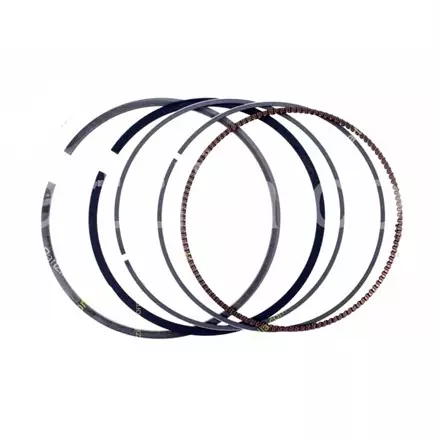 Поршневые кольца STD 100мм Honda TRX 680 13010-HN8-A61