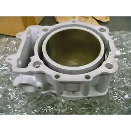 Цилиндр оригинал Arctic Cat 1000 ThunderCat, Mudpro, TRV, Wildcat, Prowler 2008+ 0804-031, 0804-064