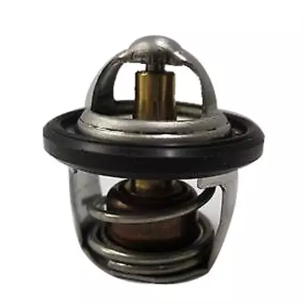 Термостат Arctic Cat MUD PRO 700 0808-078