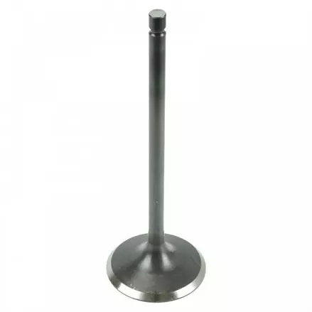 Клапан выпускной  Arctic Cat 1000, 700, 650, 550 05-15 0809-040 0809-229