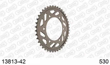 Звезда задняя AFAM 13813-42 для мотоцикла