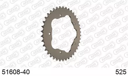 Звезда задняя AFAM 51608-40 для мотоцикла